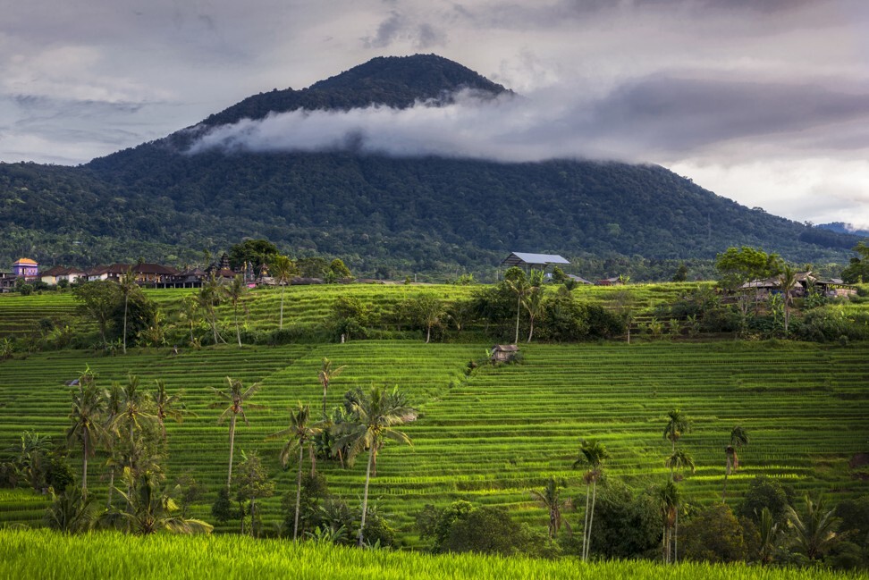 A silver lining in pandemic-hit Bali: with no tourists, cycling the ...