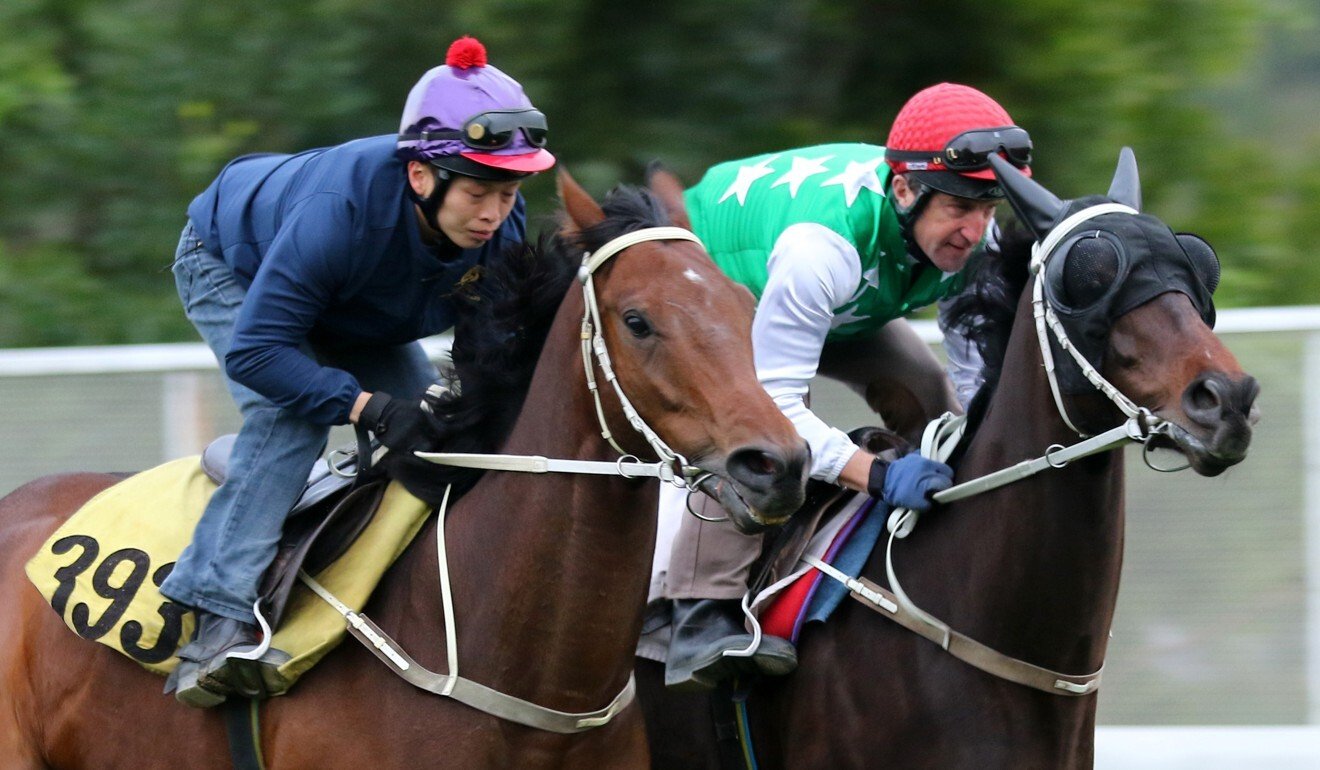 Chris McMullen, now acting starter, rides Pakistan Star (right) at trackwork in 2018.