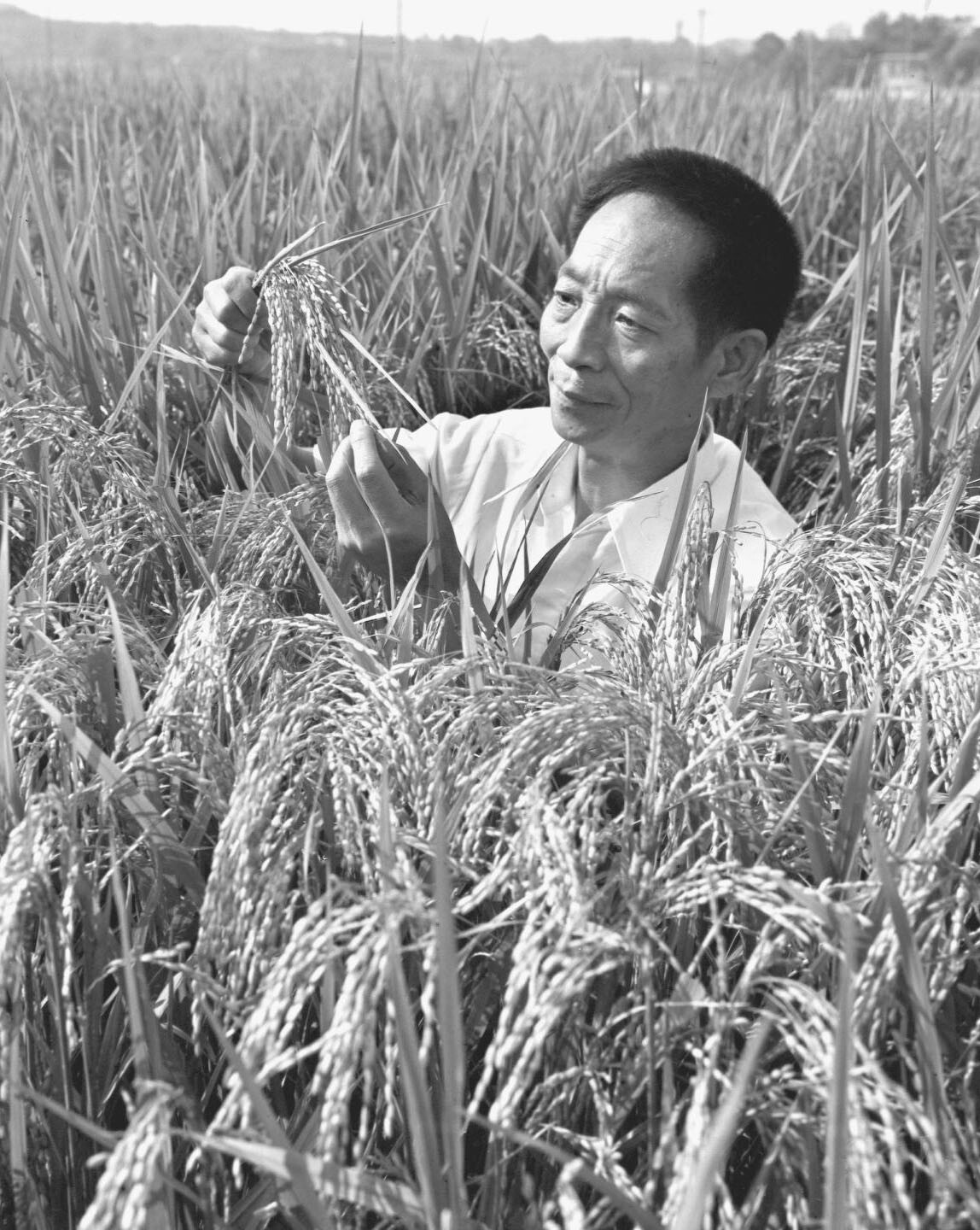 yuan-longping-s-funeral-draws-thousands-as-china-mourns-father-of-hybrid-rice-south-china