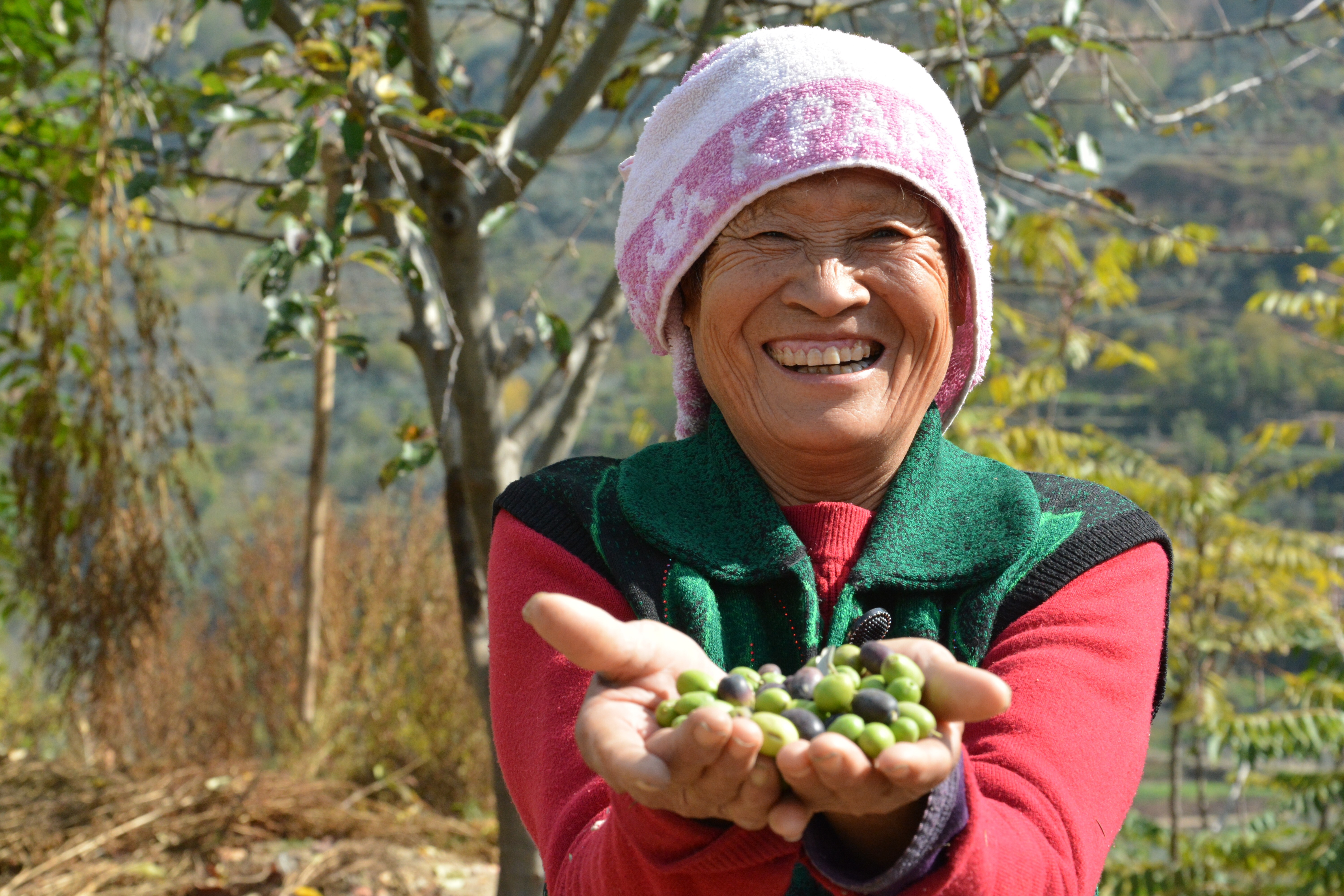 Asia’s love for Evoo shows no sign of slowing down, with producers like the Xiangyu Olive Development Co making oil on par or better than their Mediterranean counterparts. Photo: Xiangyu Olive Development Co