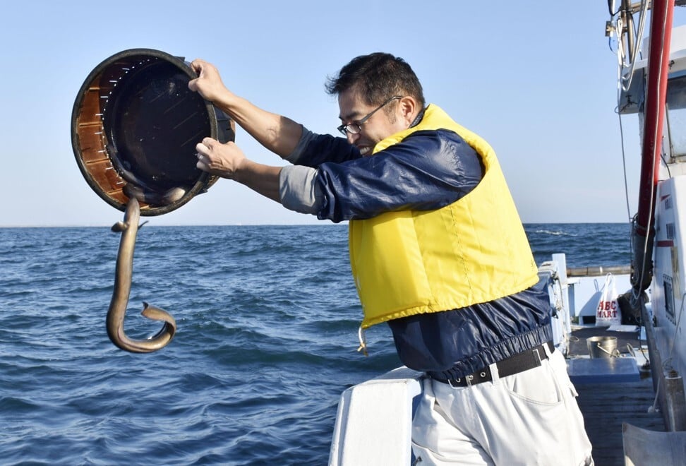 A fisherman releases a Japanese eel in the Sea of Enshu off Hamamatsu, Shizuoka Prefecture. Photo: Kyodo News Stills via Getty Images