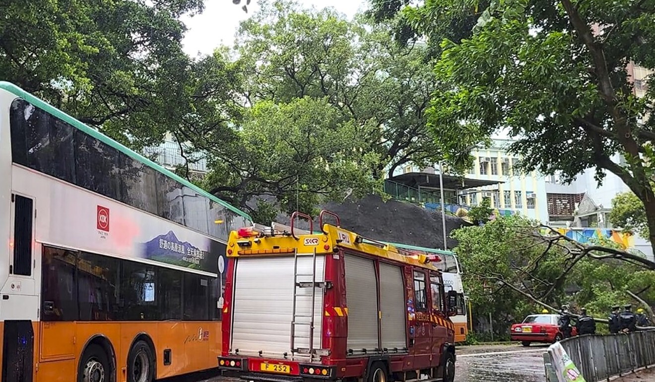 Firefighters arrive at the scene to help clear a large tree that blocked an Aberdeen street after collapsing during a morning rainstorm on Tuesday. Photo: Facebook