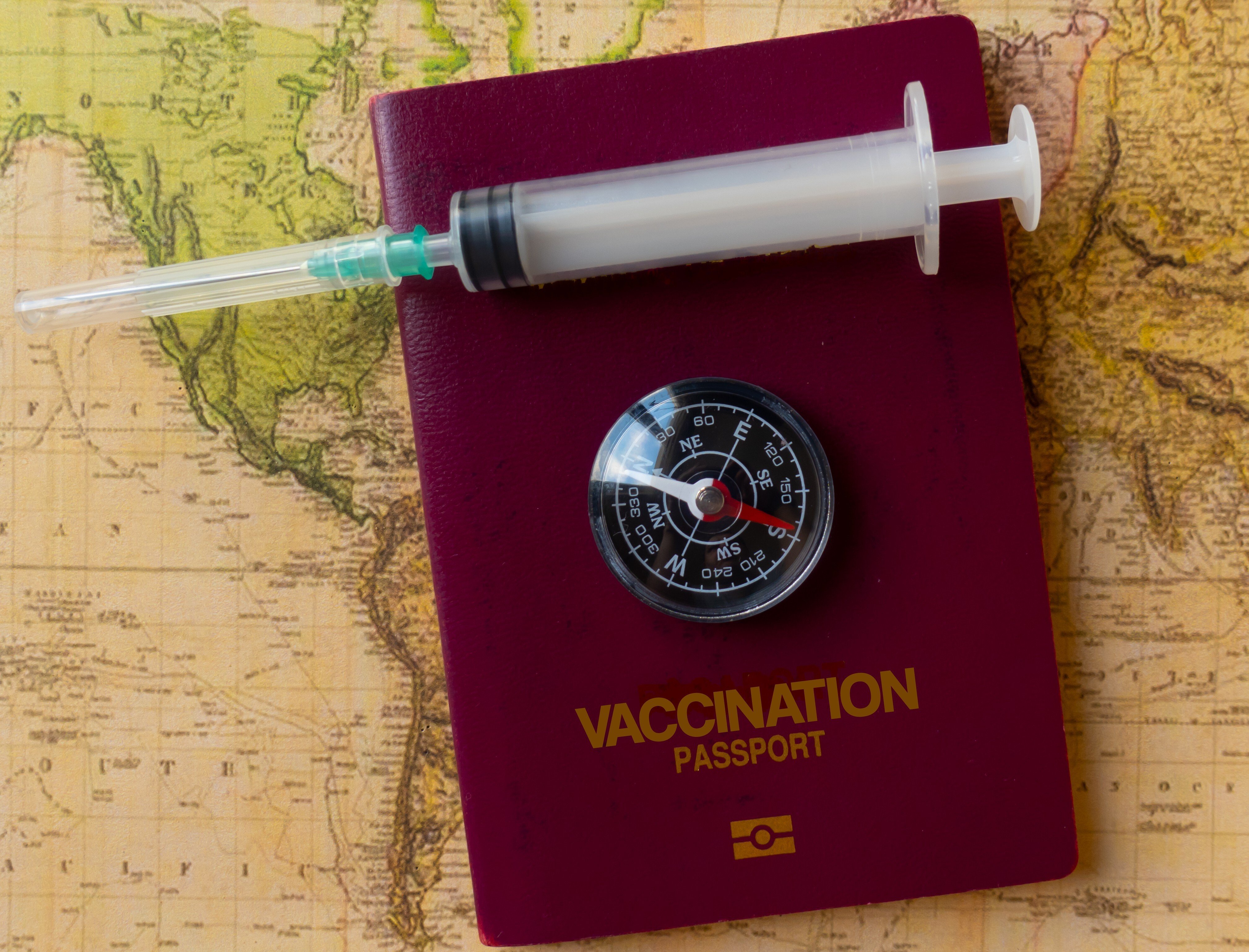 Vaccination passports. Photo: Shutterstock