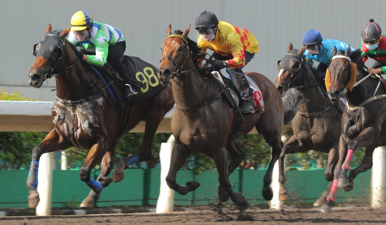 Amigos Giggle (yellow silks) competes in a recent barrier trial.