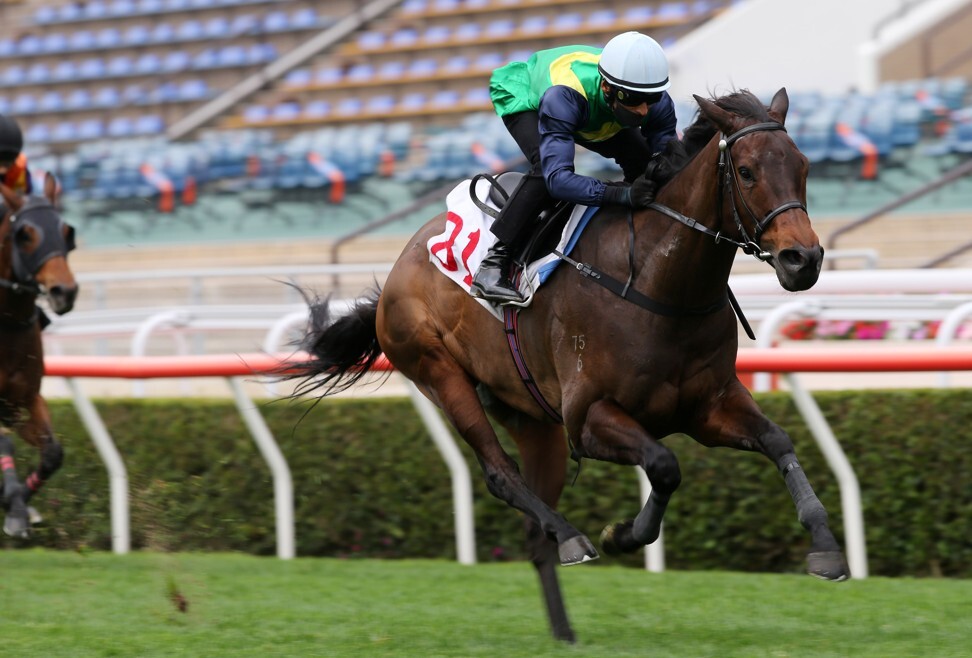 Fourawarrior trials at Sha Tin.