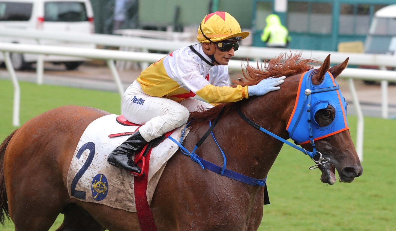 Karis Teetan gives Man Star a pat after a recent victory.