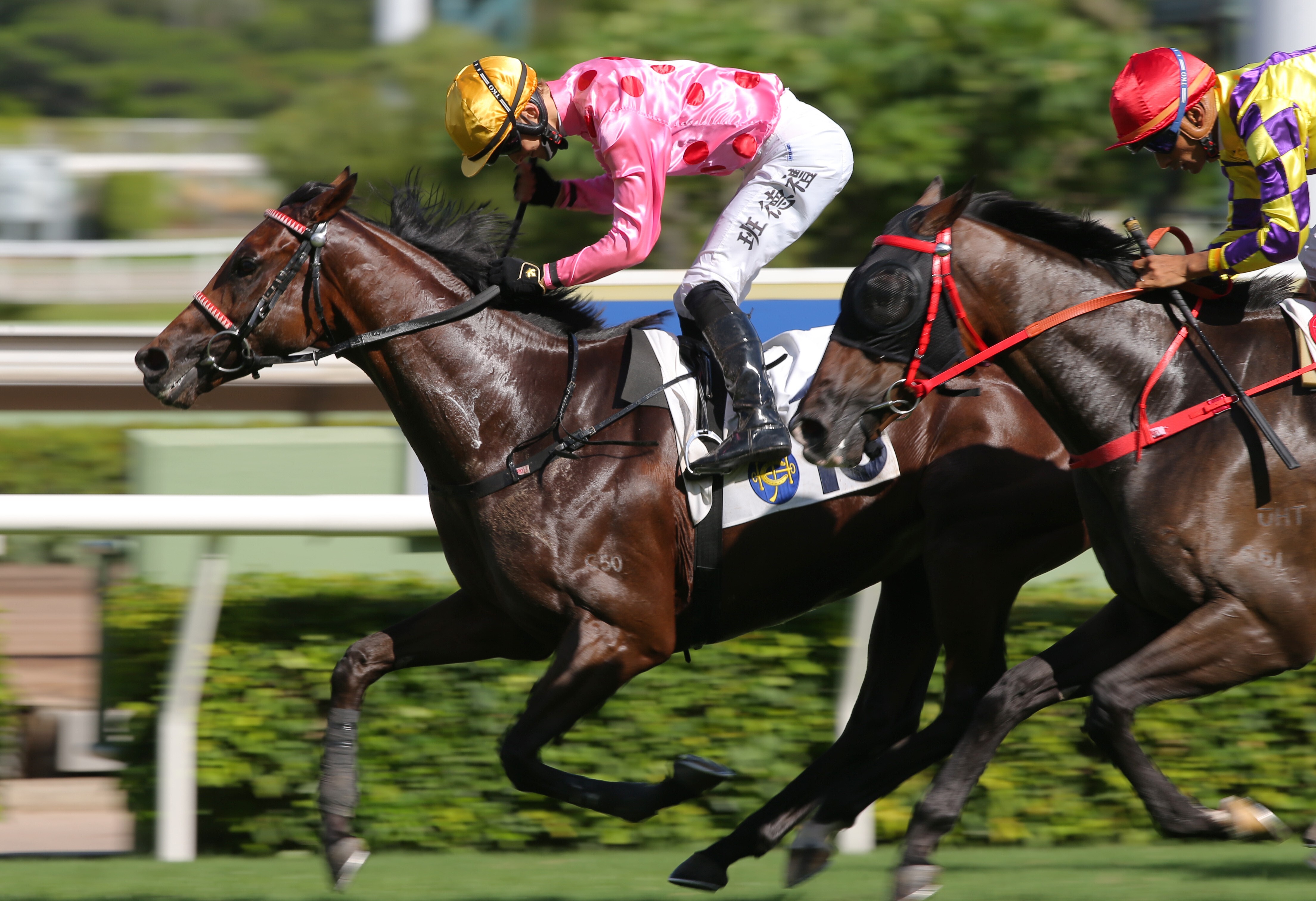 Harry Bentley pumps his fist as he wins aboard Preciousship at Sha Tin on Sunday. Photos: Kenneth Chan