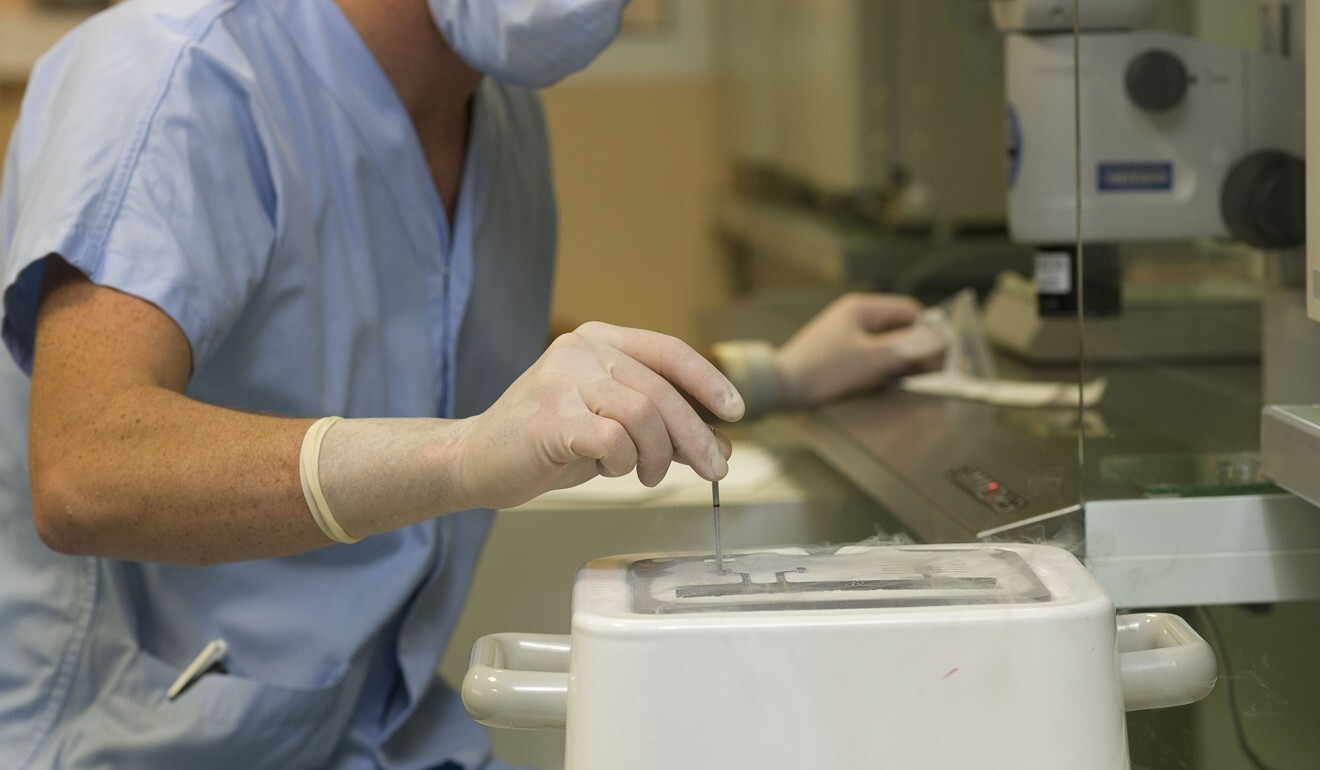 Eggs are stored in a fertility clinic. Photo: Getty Images
