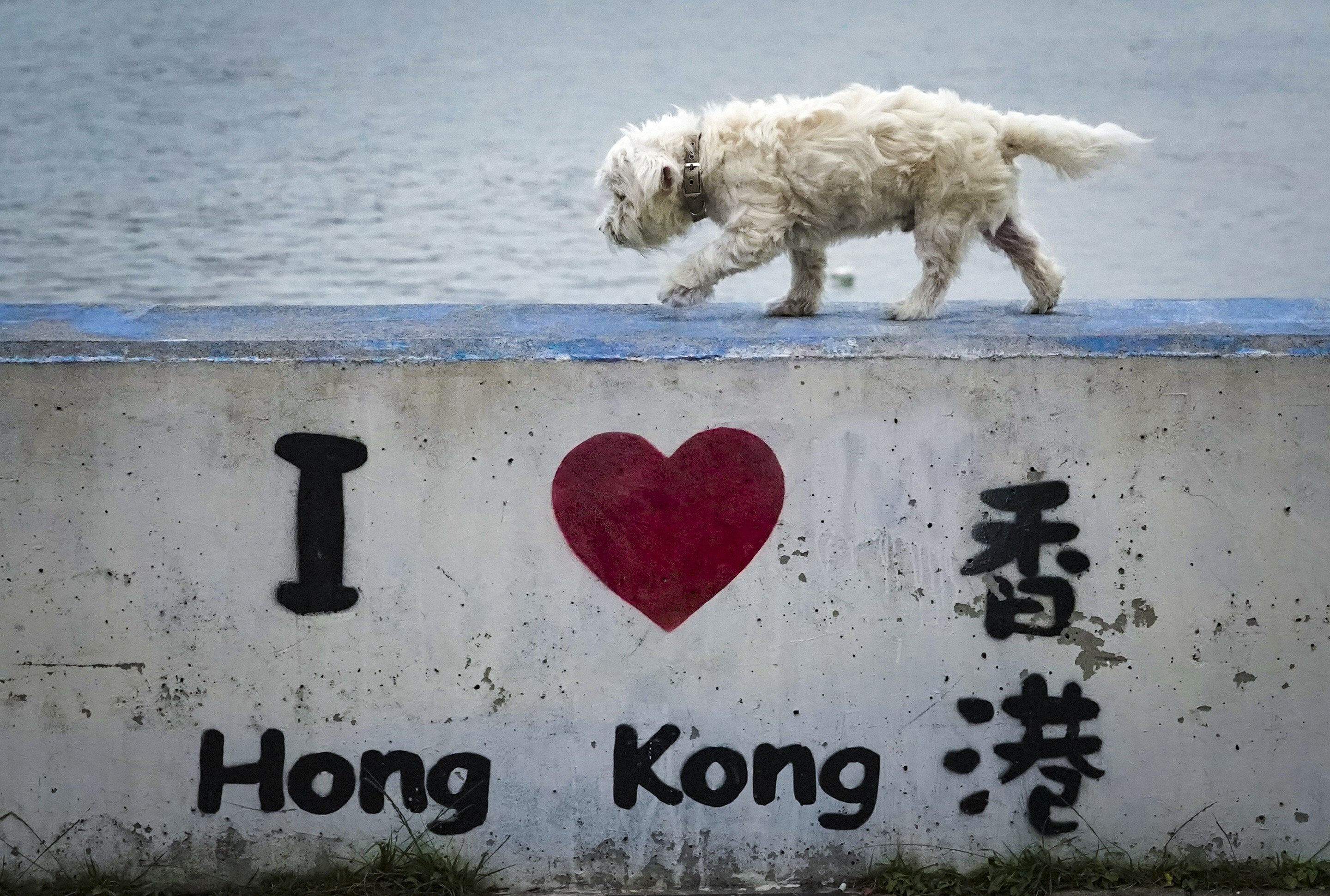 pets at hk