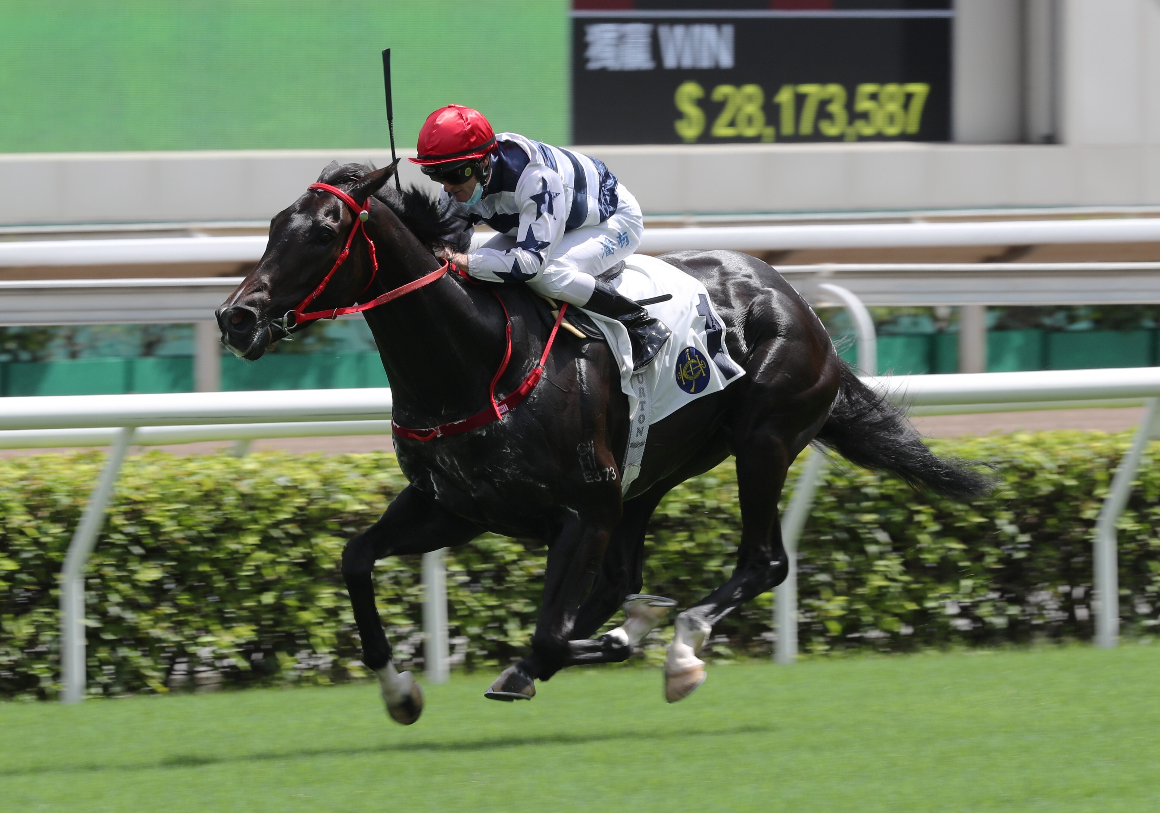 Packing Victory coasts home under Zac Purton at Sha Tin on Sunday. Photos: Kenneth Chan