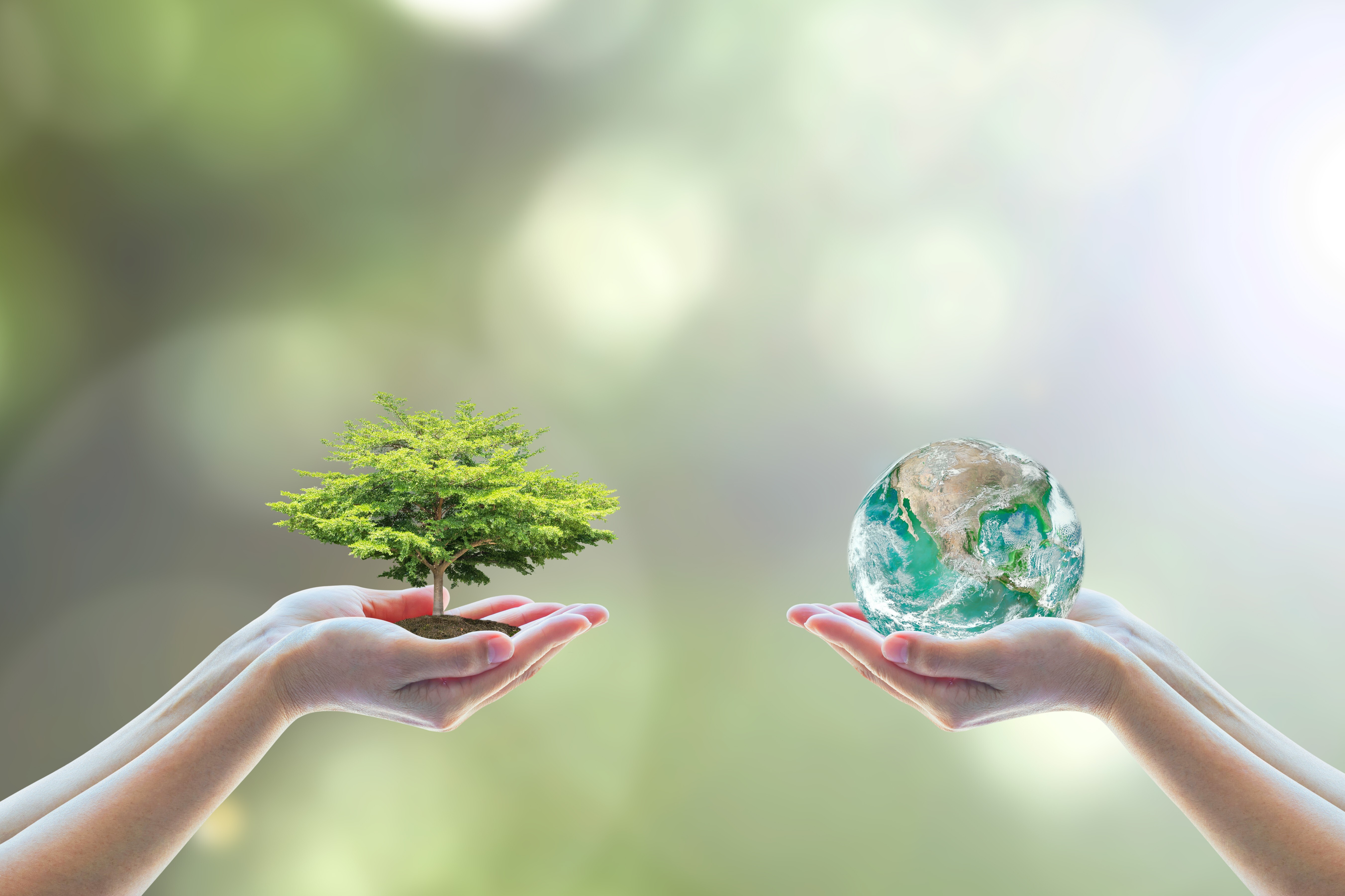 ESG awareness is rising among both investors and policymakers in Asia-Pacific, the survey found. Photo: Shutterstock