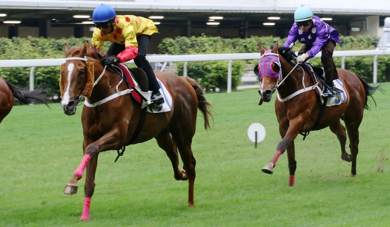 Dice Roll (left) trials at Happy Valley.