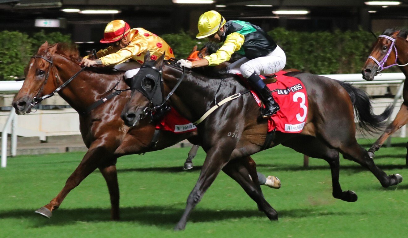 Resolute (outside) grabs Heart Conquered on the line at Happy Valley. Resolute (outside) grabs Heart Conquered on the line at Happy Valley.