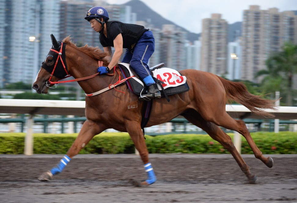 Five Elements gallops on the all-weather track on Thursday morning.