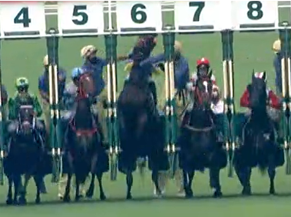 Soulmate (gate six) rears up, causing the barrier attendant behind Karis Teetan aboard Leap Of Faith (gate five) to lose balance and impede the jockey.