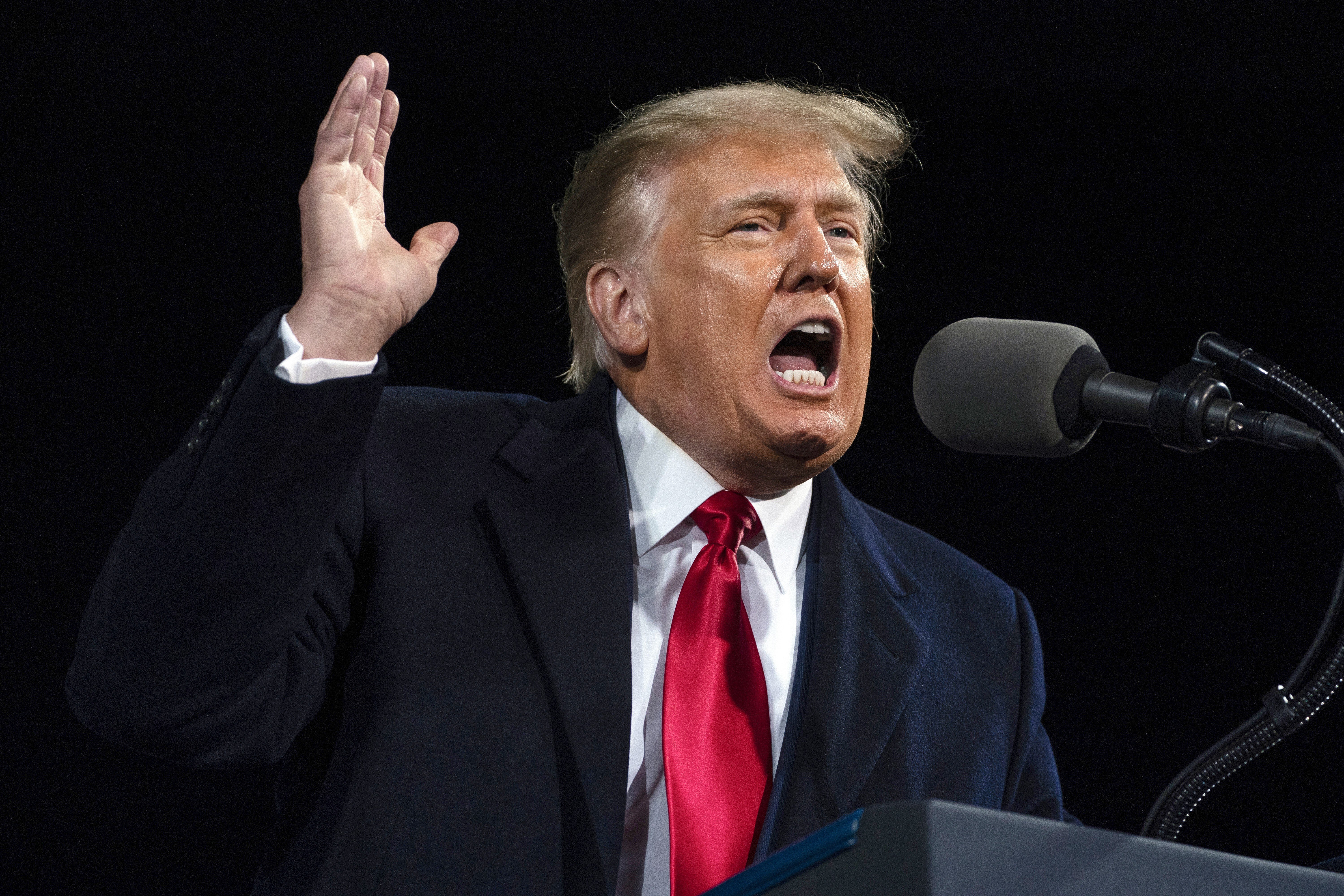 Then US President Donald Trump speaks at a campaign rally in Georgia in December 2020. Photo: AP