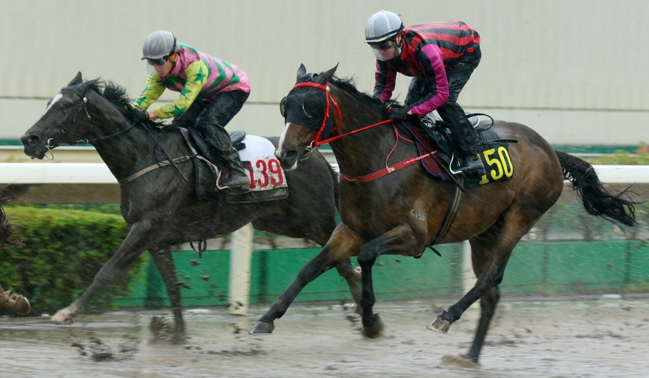 Zac Purton trials Waikuku in the wet last week.