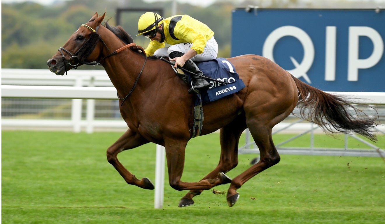 Addeybb wins the 2020 QIPCO British Champion Stakes. Photo: Racingfotos.com/GBRI