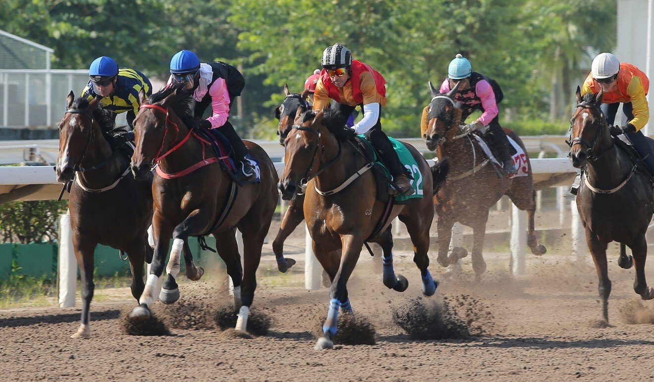 Horses race on the dirt at Sha Tin.