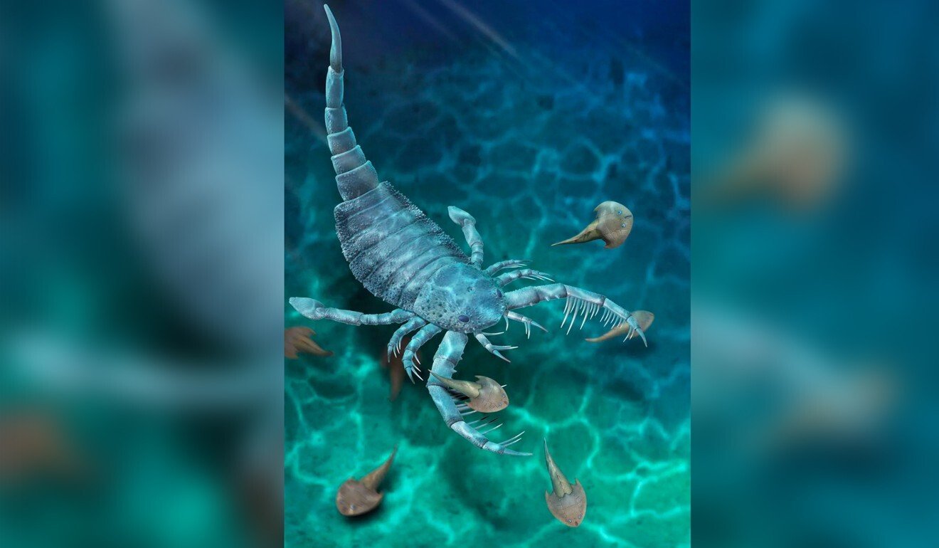 Chinese scientists unearth ancient underwater scorpion that was the