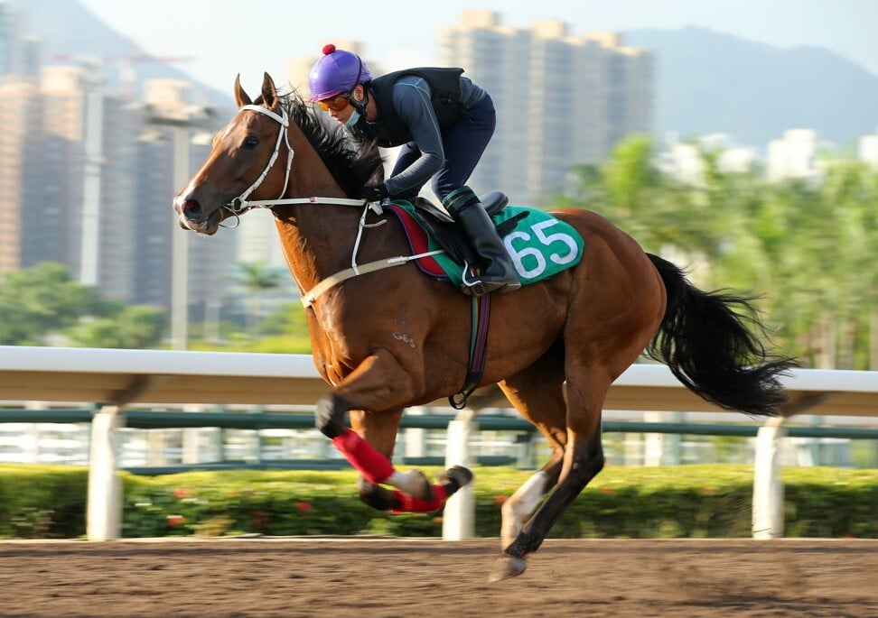 Super Fortune goes for a gallop on Thursday morning.
