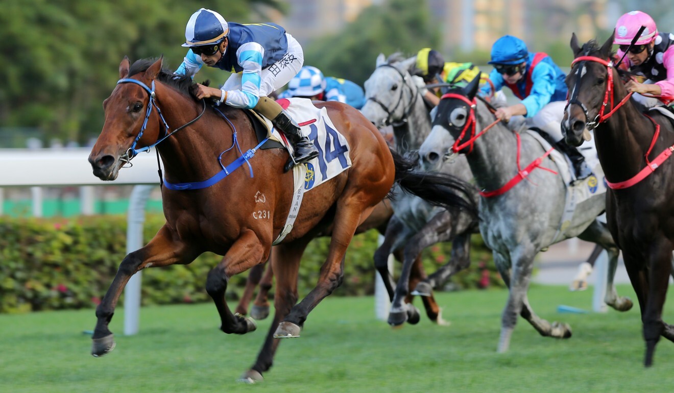 Ballistic King salutes under Karis Teetan in April last year.