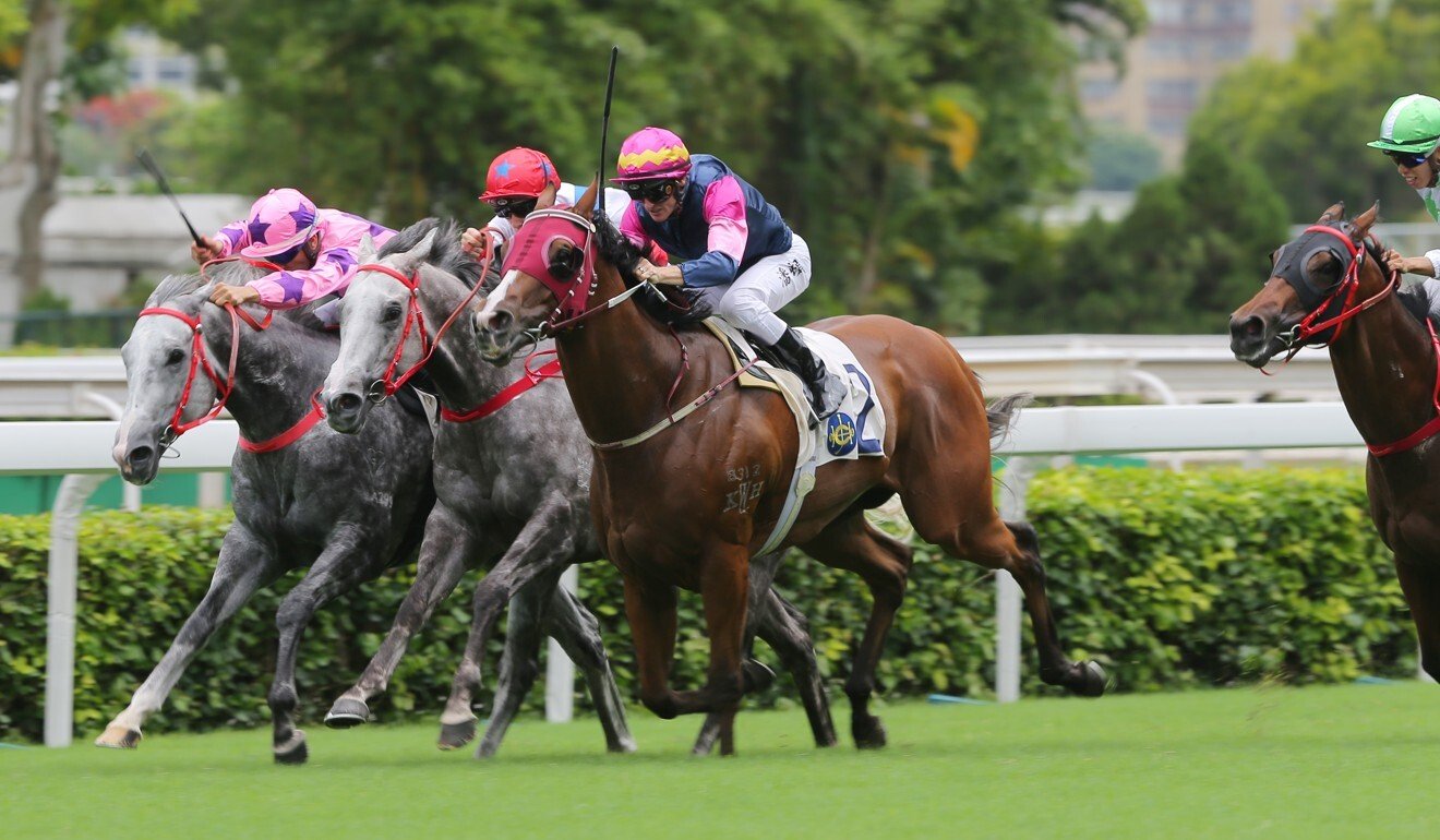 Thanks Forever salutes at Sha Tin.