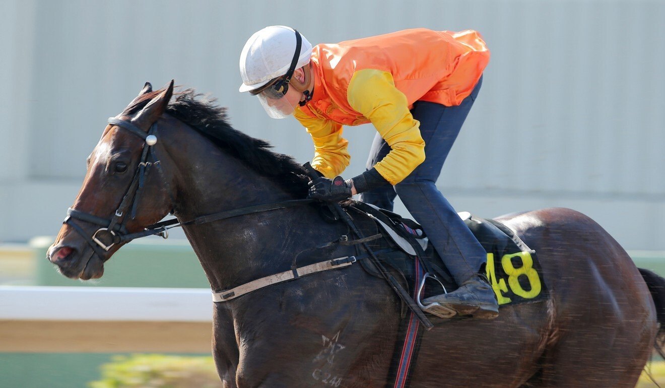 Luke Ferraris trials Aquila last week.