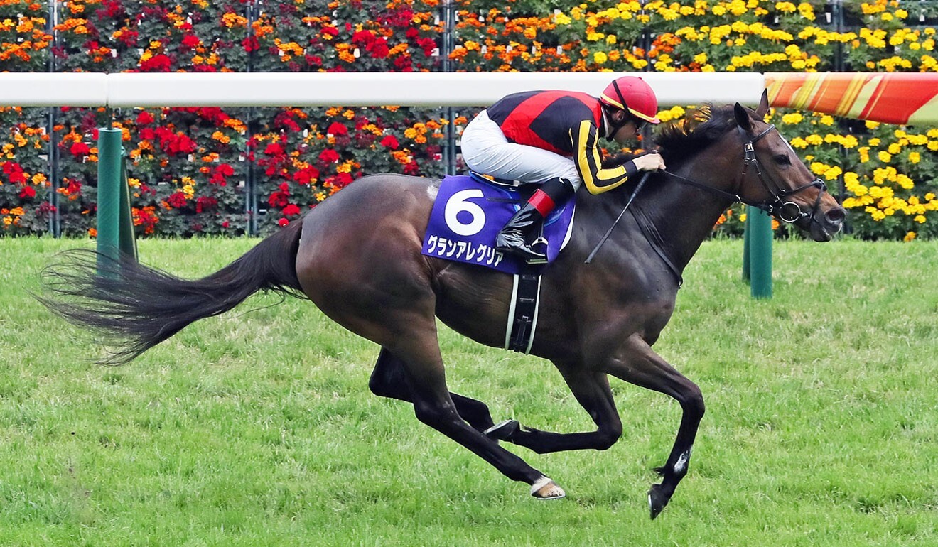 Gran Alegria wins a Group One in Japan. Photo: JRA