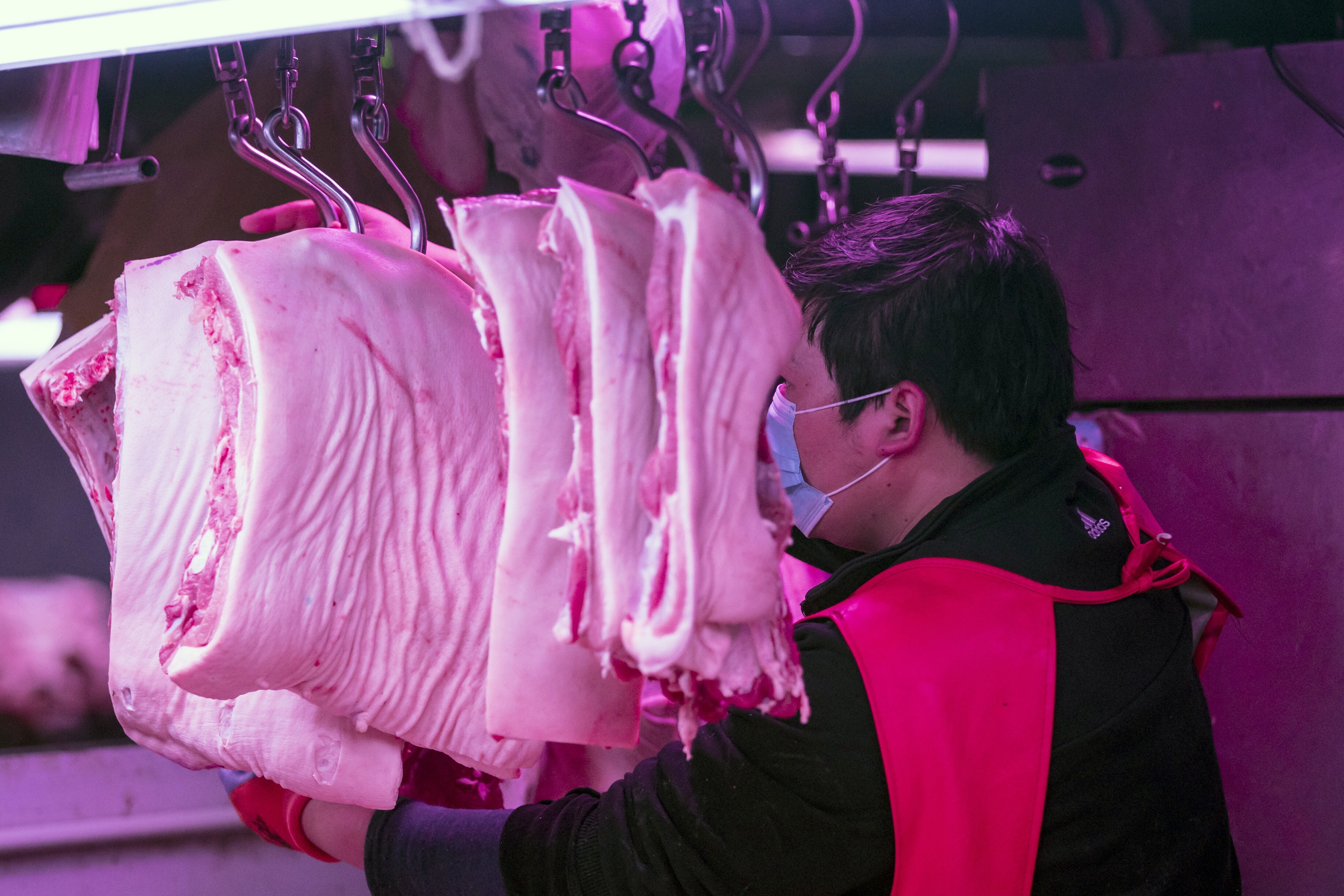 Many Chinese breeders are struggling to pay their suppliers, as pork prices have fallen by 70 per cent this year. Photo: Bloomberg