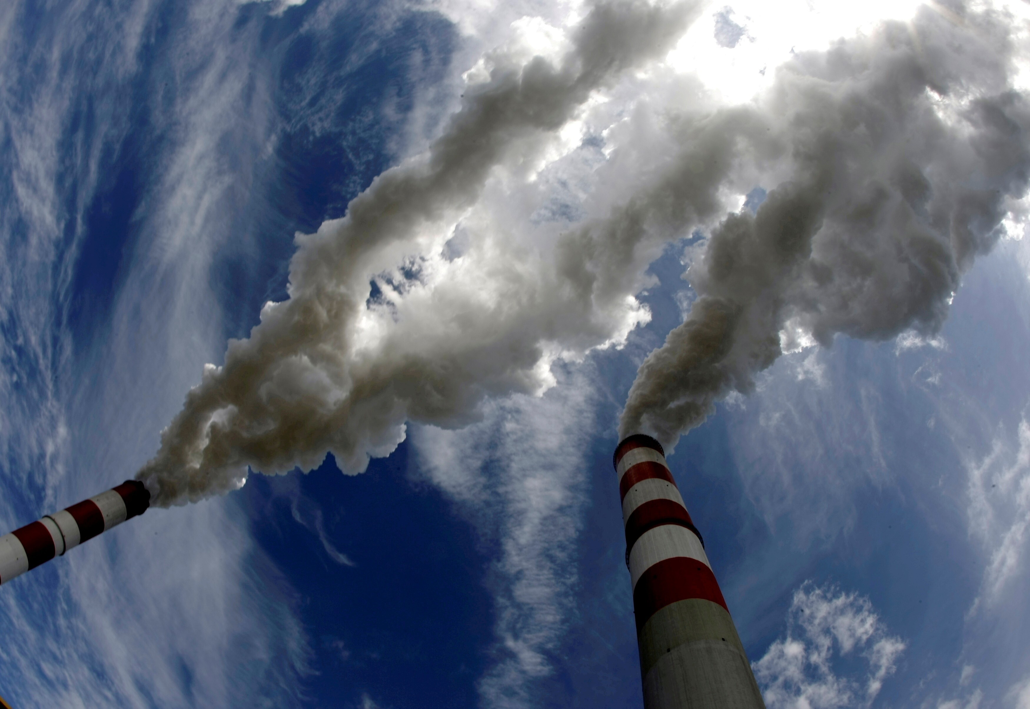 The establishment of a global carbon market could yield huge investments in projects to combat climate change. Photo: Reuters