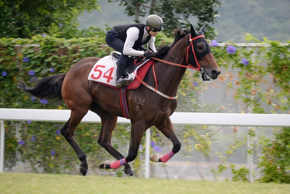 Alexis Badel gallops Tourbillon Diamond at Sha Tin this week.