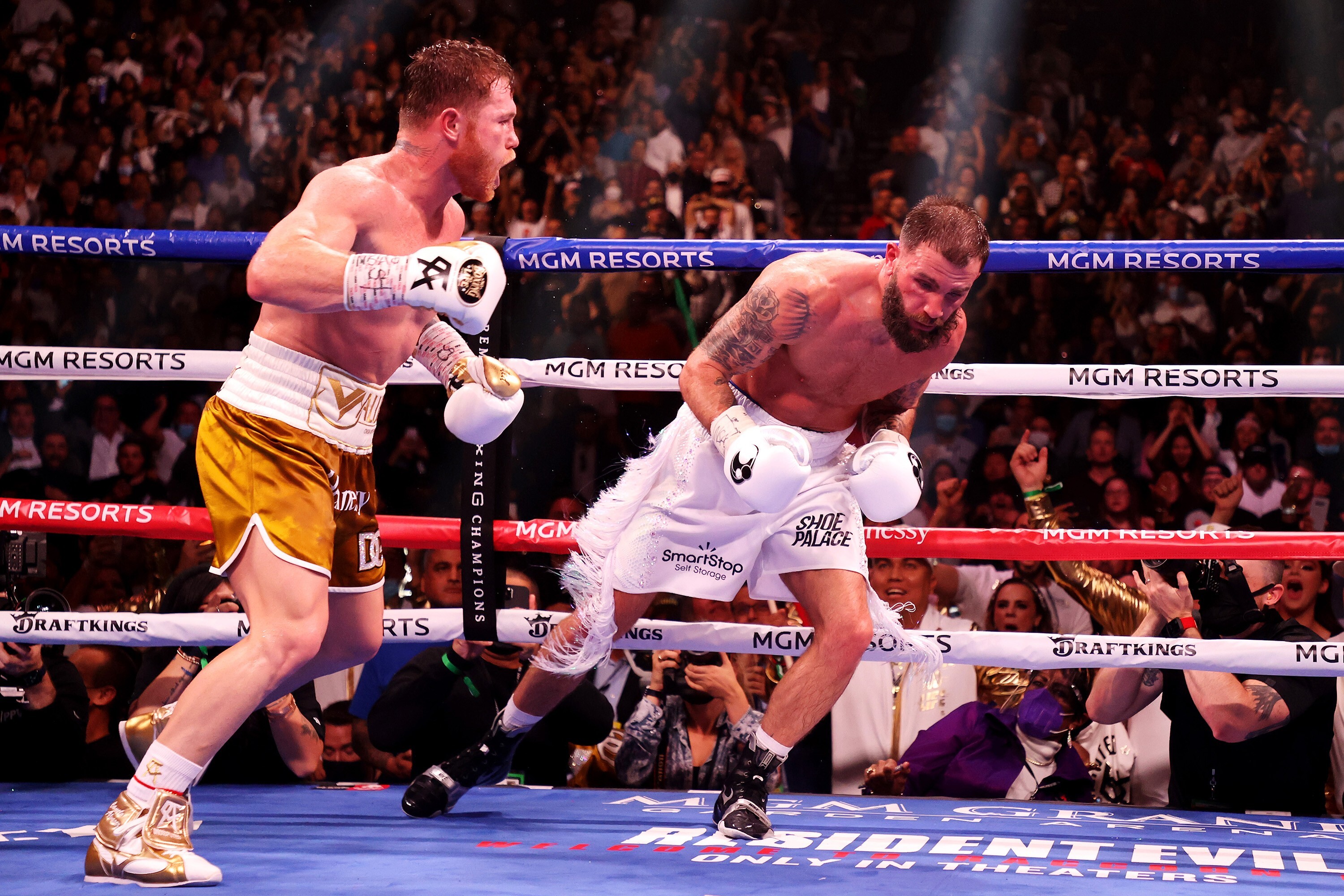 Canelo Alvarez punches Caleb Plant against the ropes during their championship bout. Photo: TNS