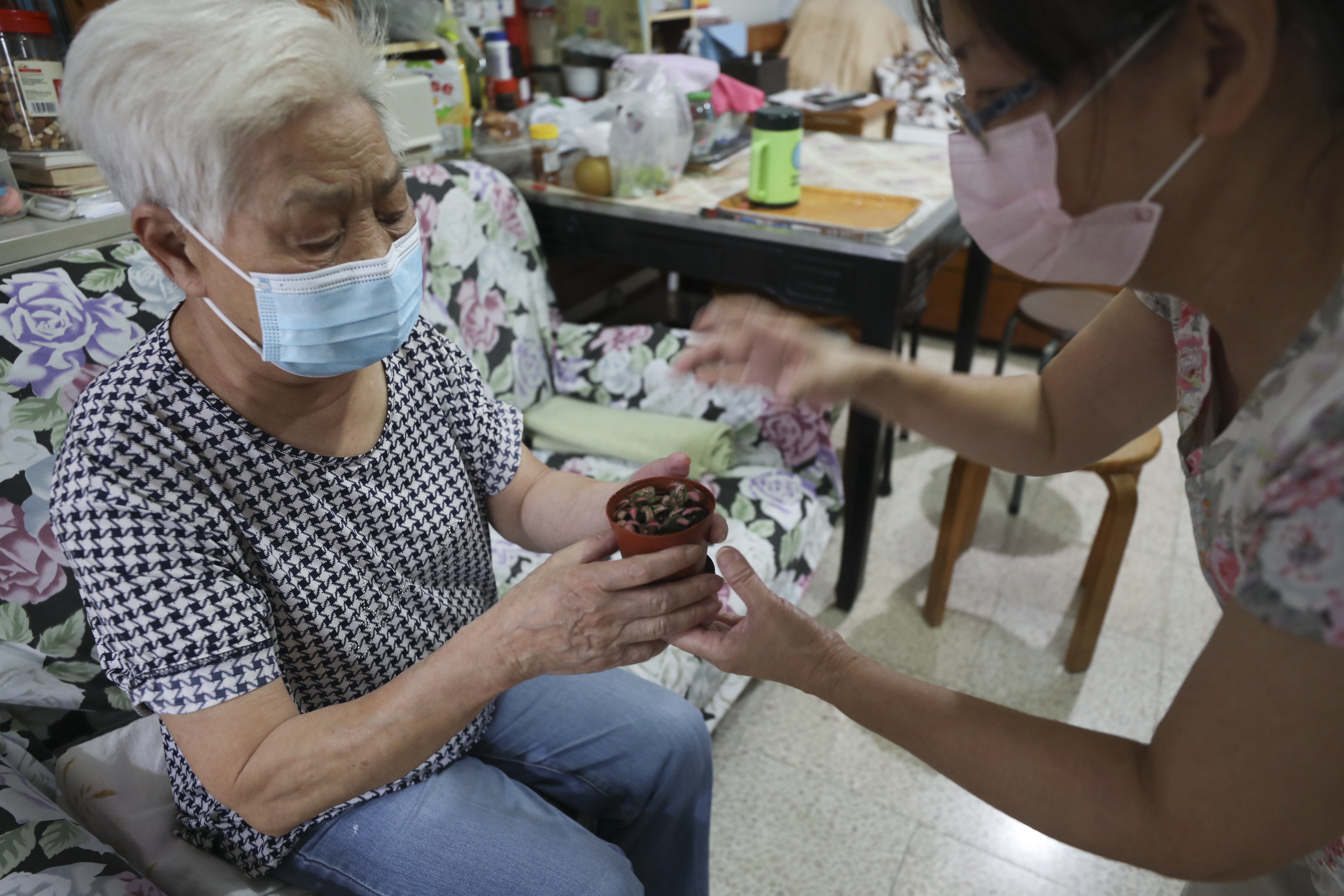 Helping out the elderly is one of the most popular volunteering opportunities in Hong Kong, a data-driven platform has found. Photo: Xiaomei Chen