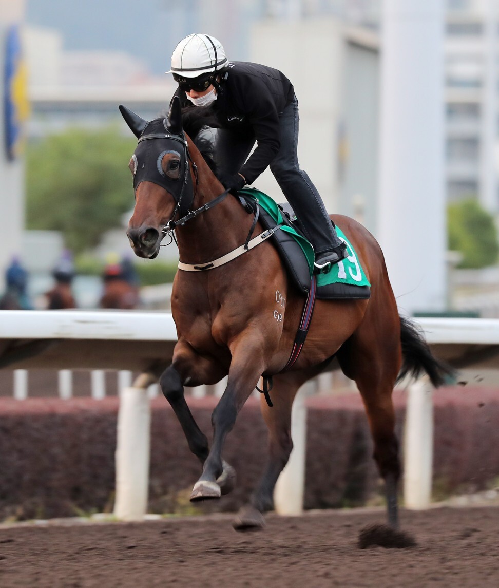 Vento gallops at Sha Tin on Thursday.