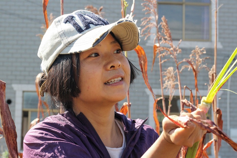 Young farmer Hu Siqin grows crops on rented plots of land on Chongming island in Shanghai. Photo: AFP