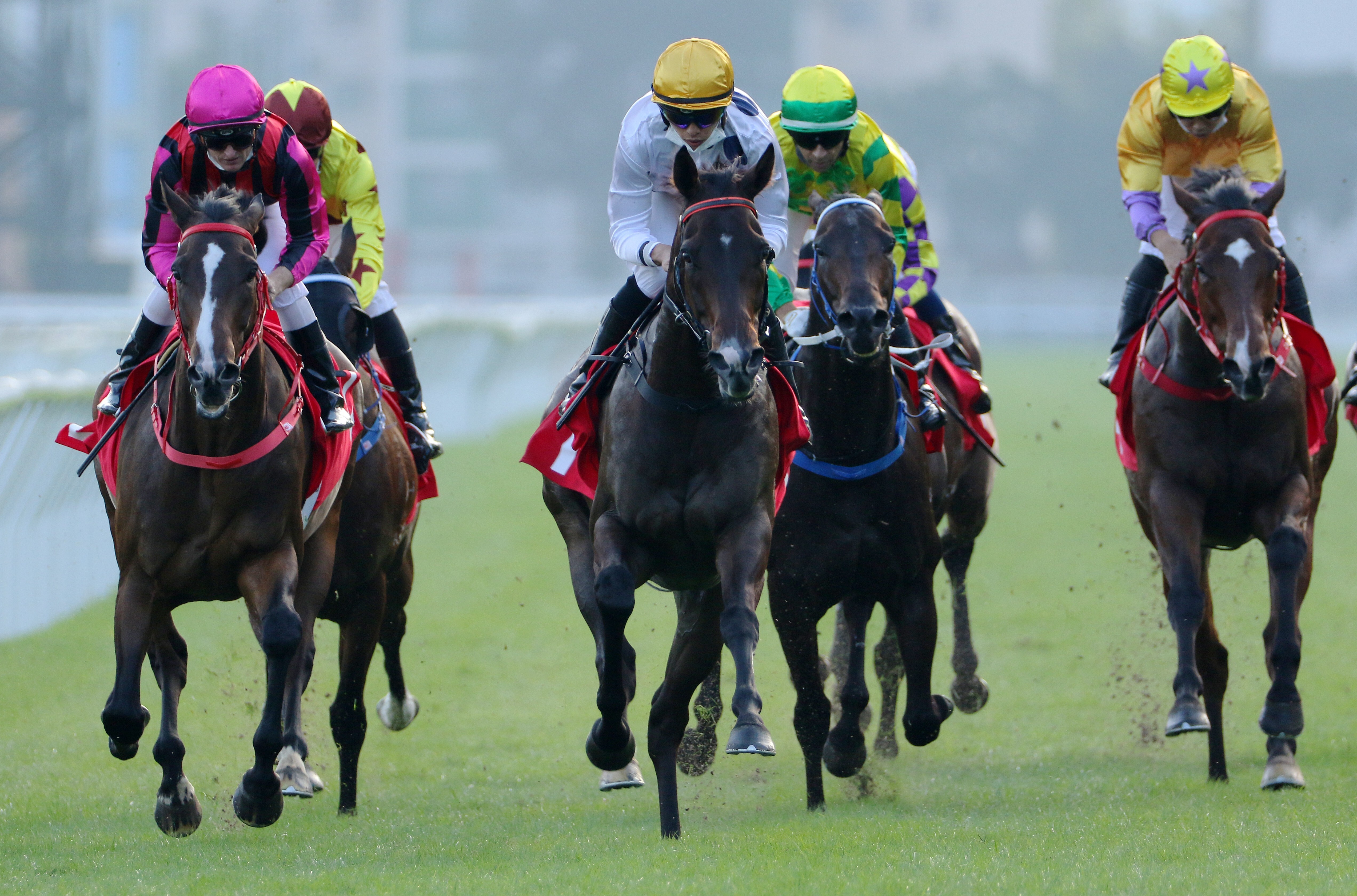 Vincent Ho guides Golden Sixty (white silks) to victory in the Group Two Jockey Club Mile at Sha Tin on Sunday. Photos: Kenneth Chan
