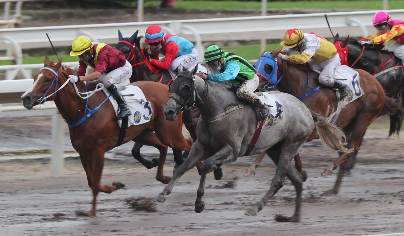 Matthew Poon drives the grey Silver Fig to victory last start.