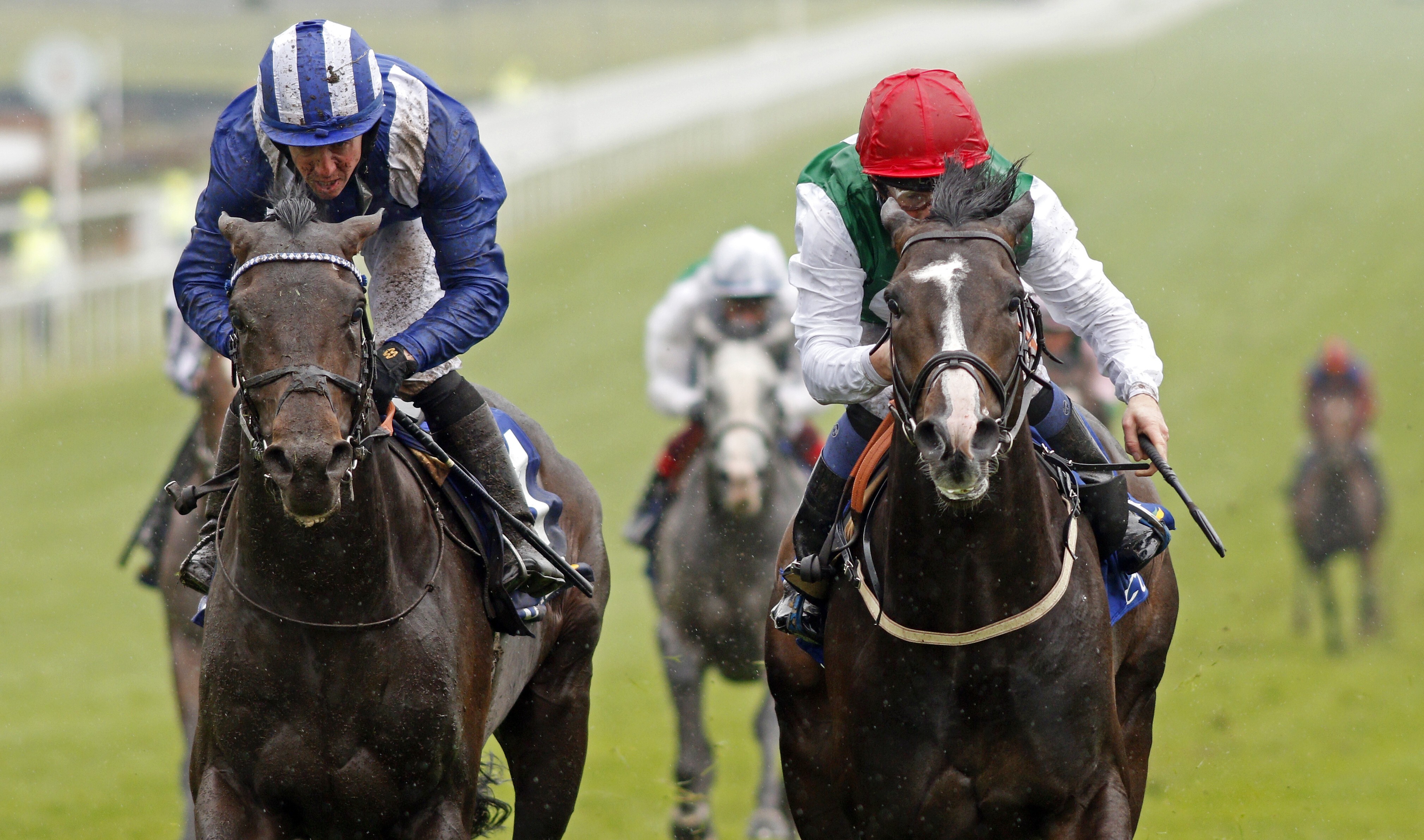 Pyledriver (right) beating Al Aasy in the Group One Coronation Cup at Epsom in June. Photo: Racingfotos.com
