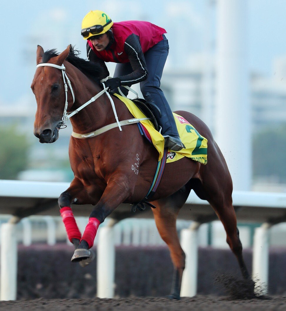 Computer Patch gallops on the all-weather track on Thursday morning.