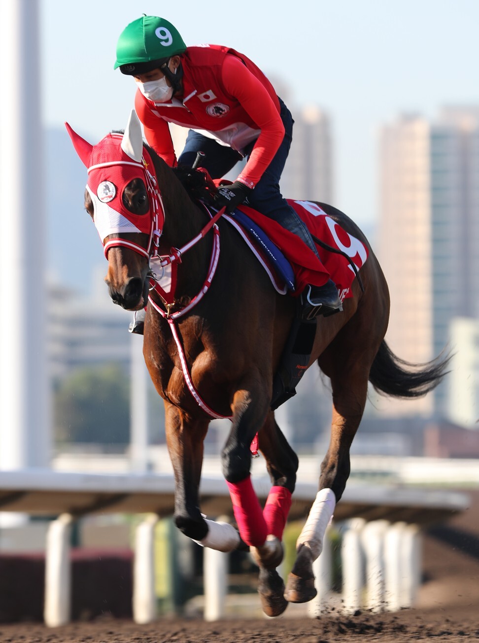 Loves Only You works on the all-weather track at Sha Tin on Monday.