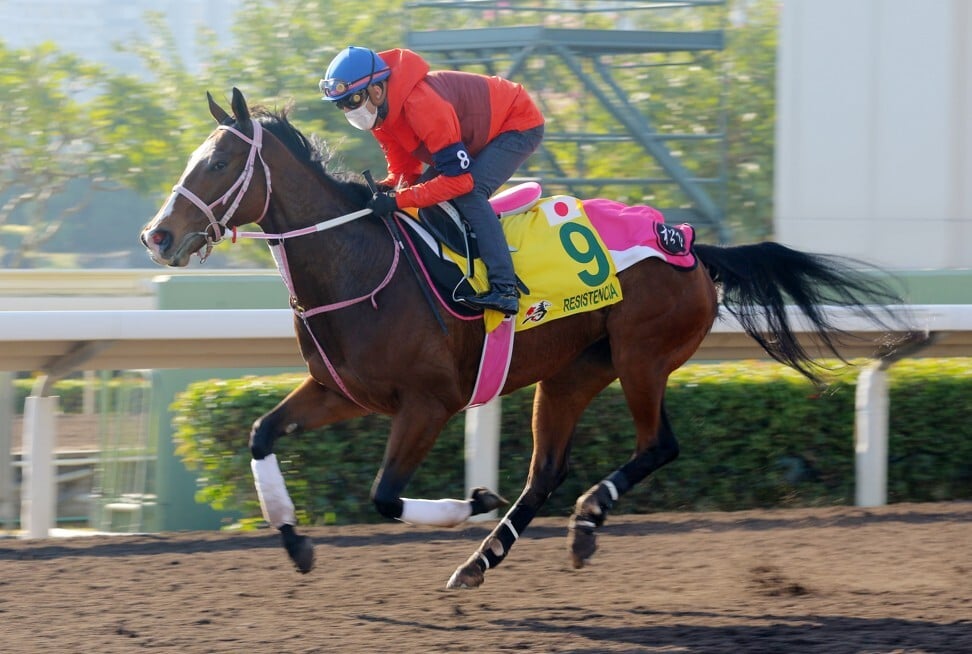 Christophe Soumillon works Resistencia on Friday morning.