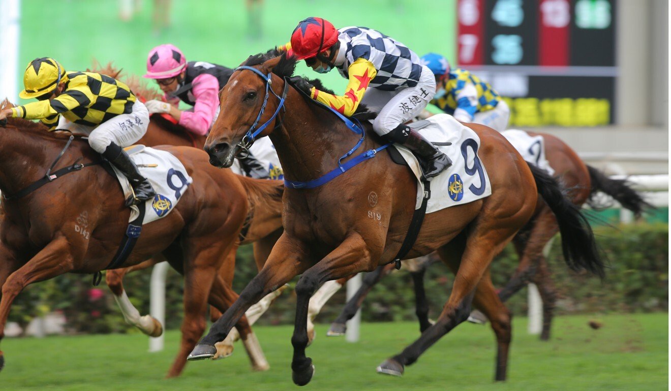 Hong Kong Sprint fall inevitably raises questions as Jockey Club