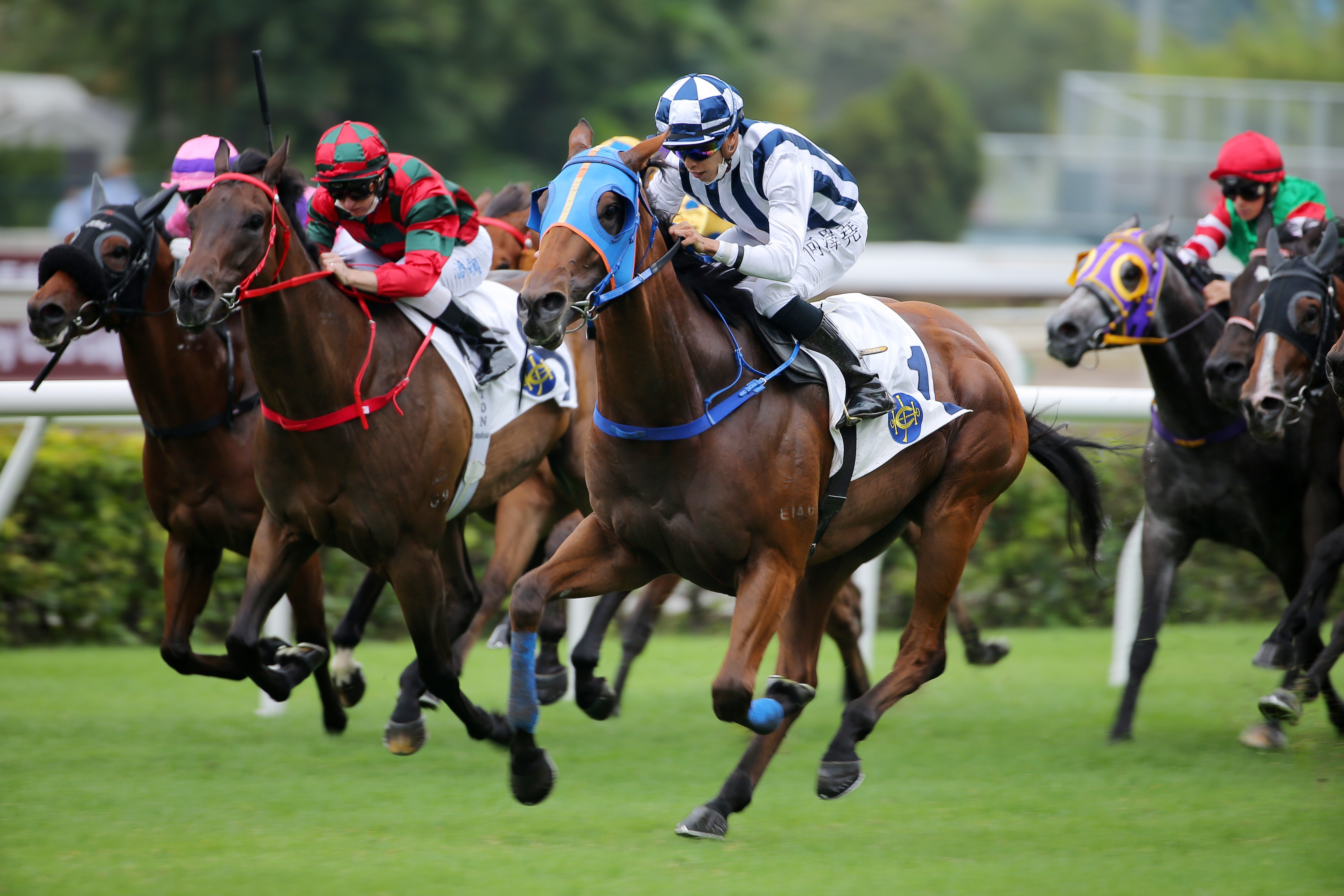 Vincent Ho guides Seasons Bliss to victory at Sha Tin last start. Photo: Kenneth Chan