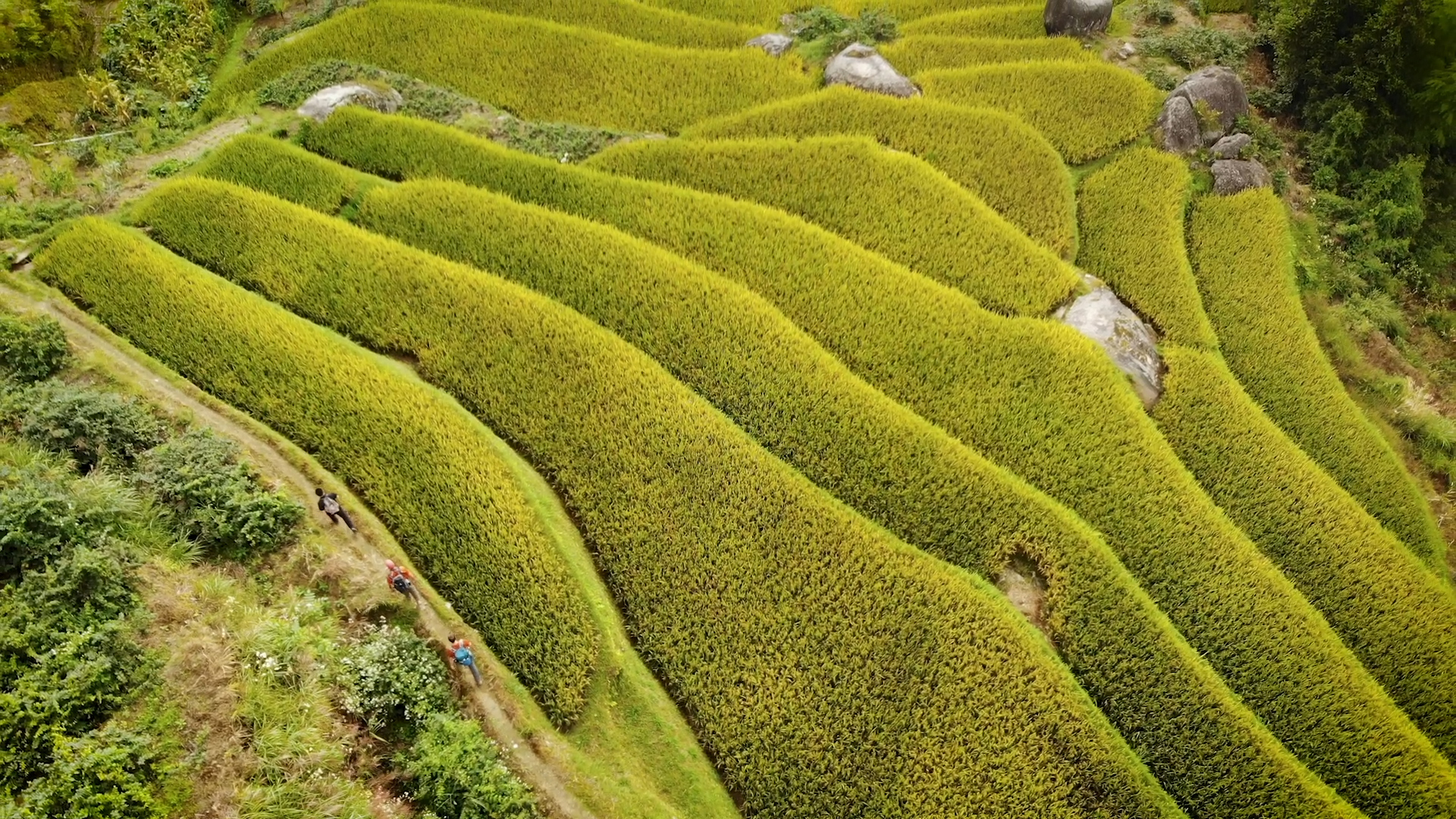 The Xuefeng Mountain Trail