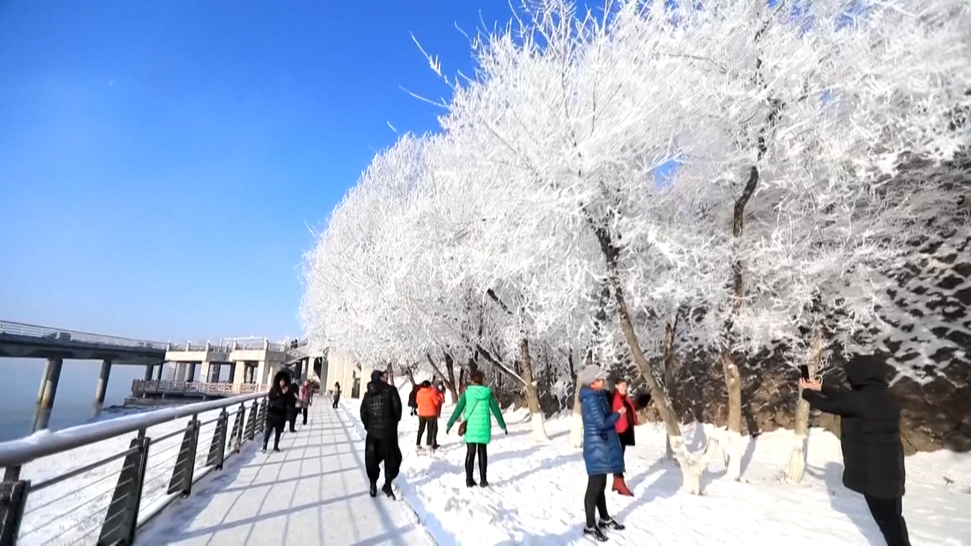 Chinese cities look like ‘Frozen II’ film sets after coating of winter frost