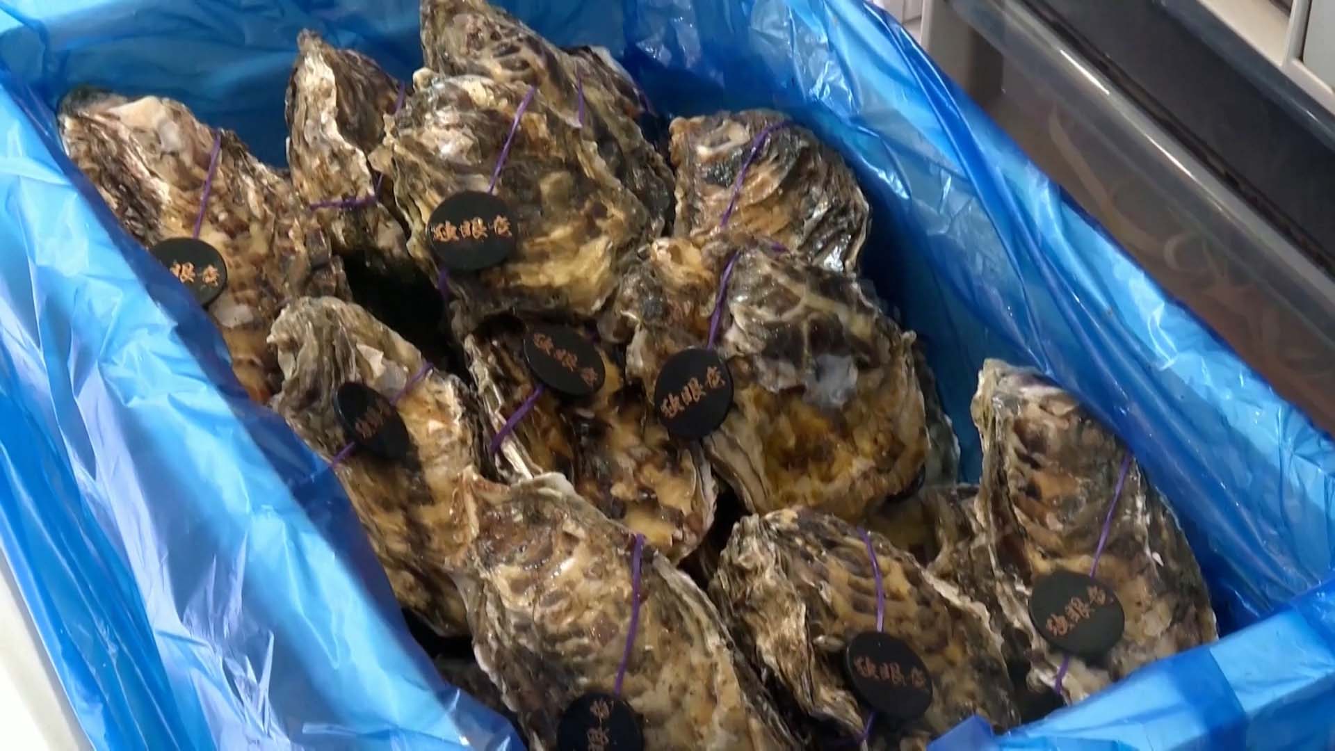 China imposes ban on Japanese seafood over Fukushima water release plan