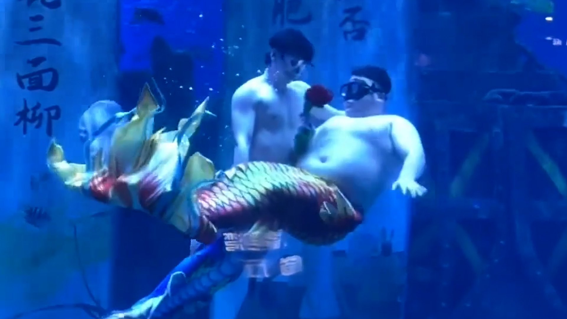 ‘Chubby mermen’ take over aquarium in China