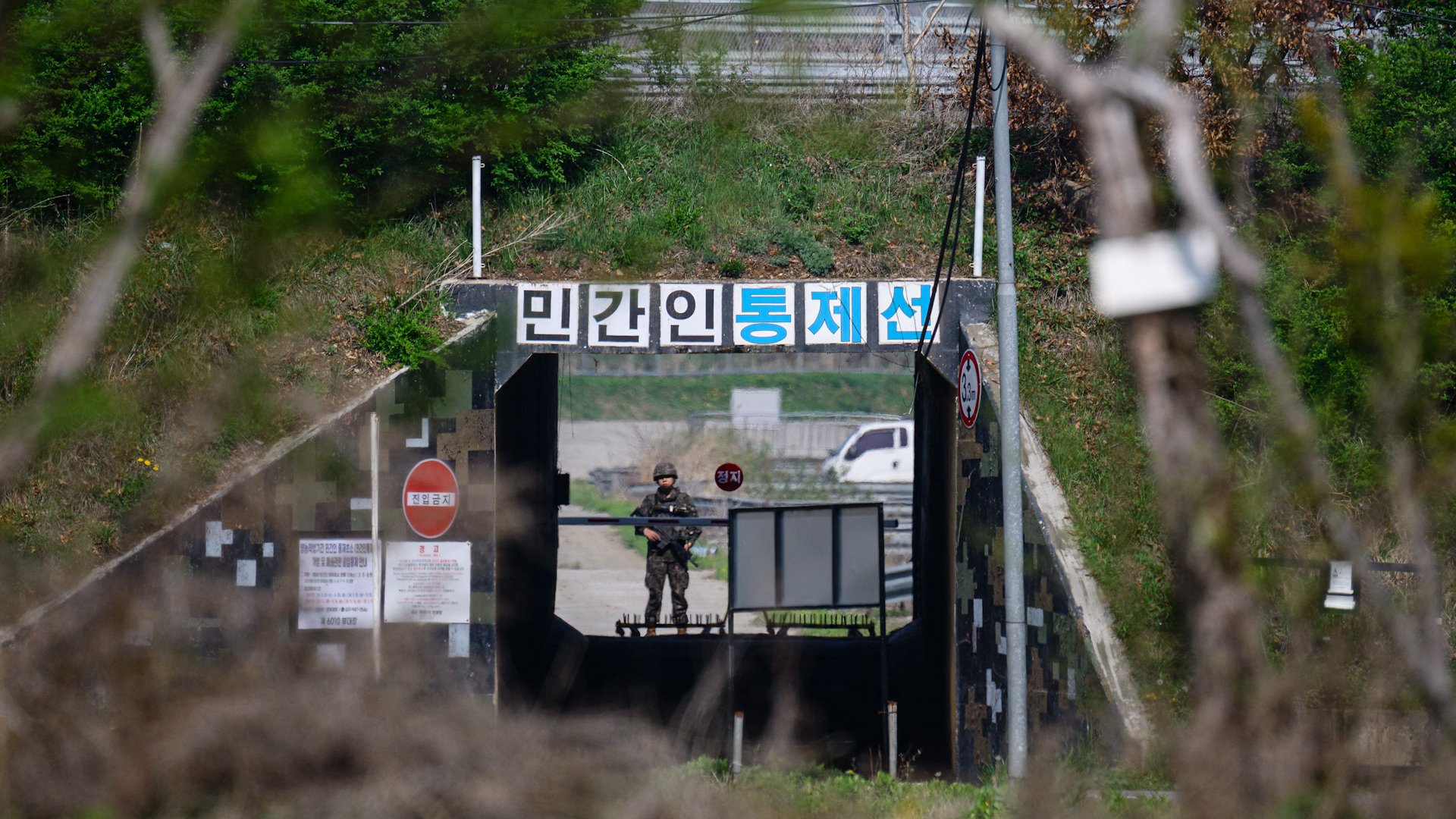 Bunker-cafe with view of North Korea, art exhibition inspires hope for peace