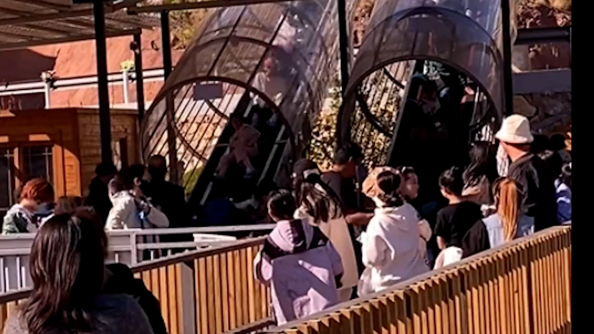 ‘Magic carpet’ ride in China malfunctions, injuring tourists